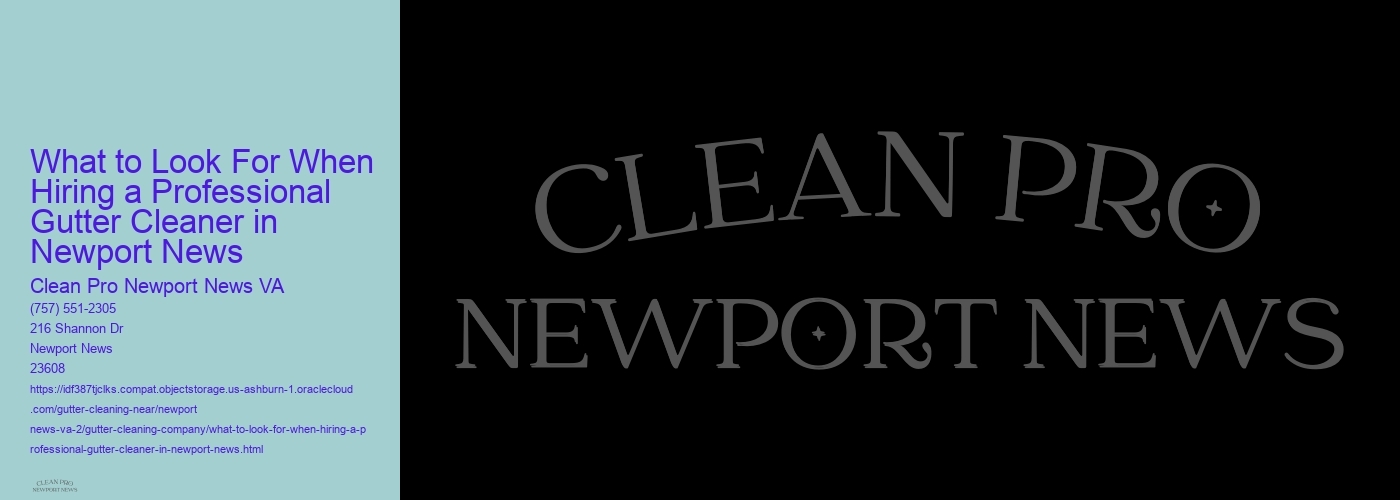 What to Look For When Hiring a Professional Gutter Cleaner in Newport News 
